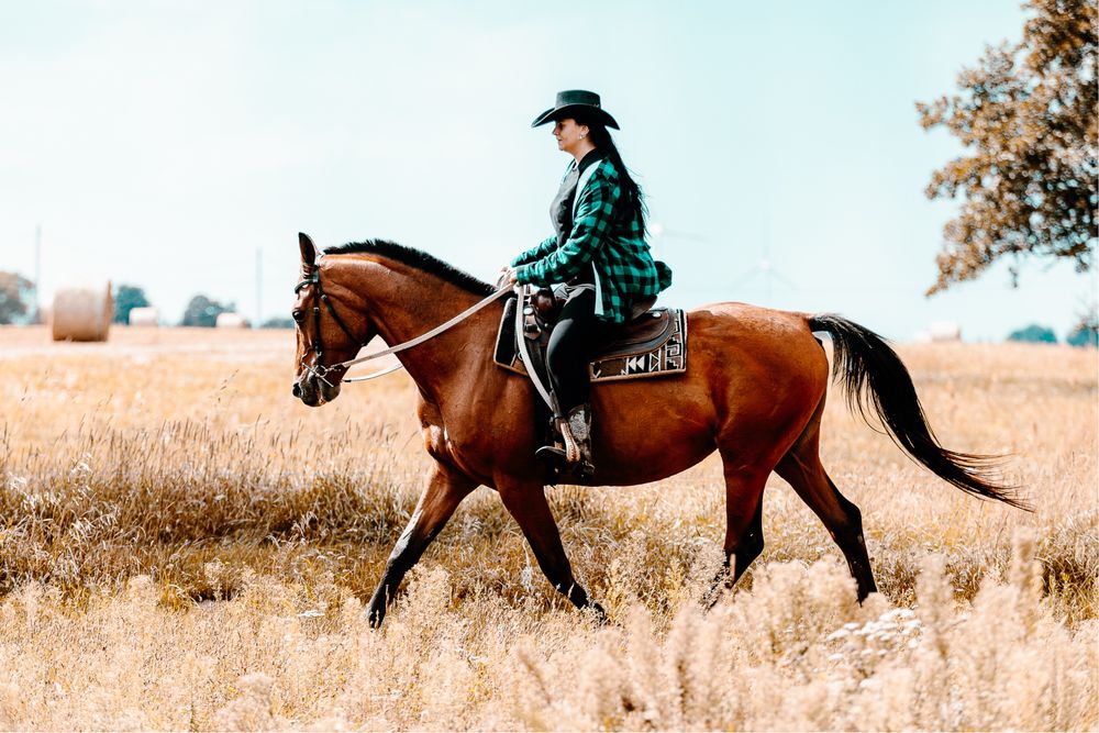 Klacz małopolska Avia