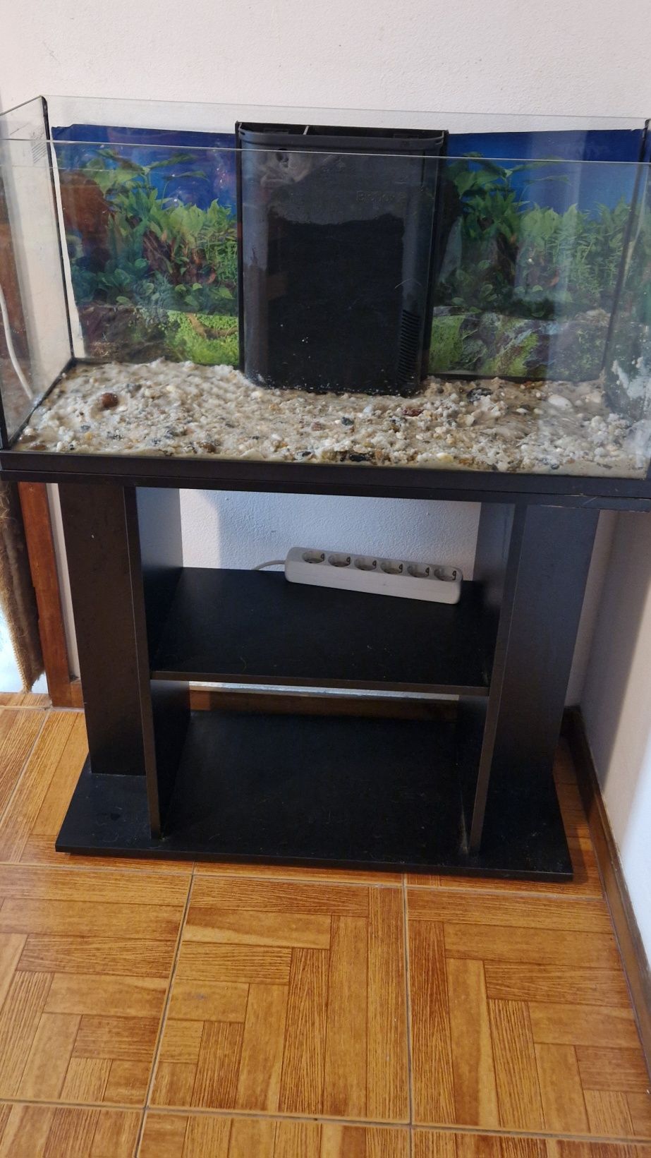 Aquário com movel 80 cm