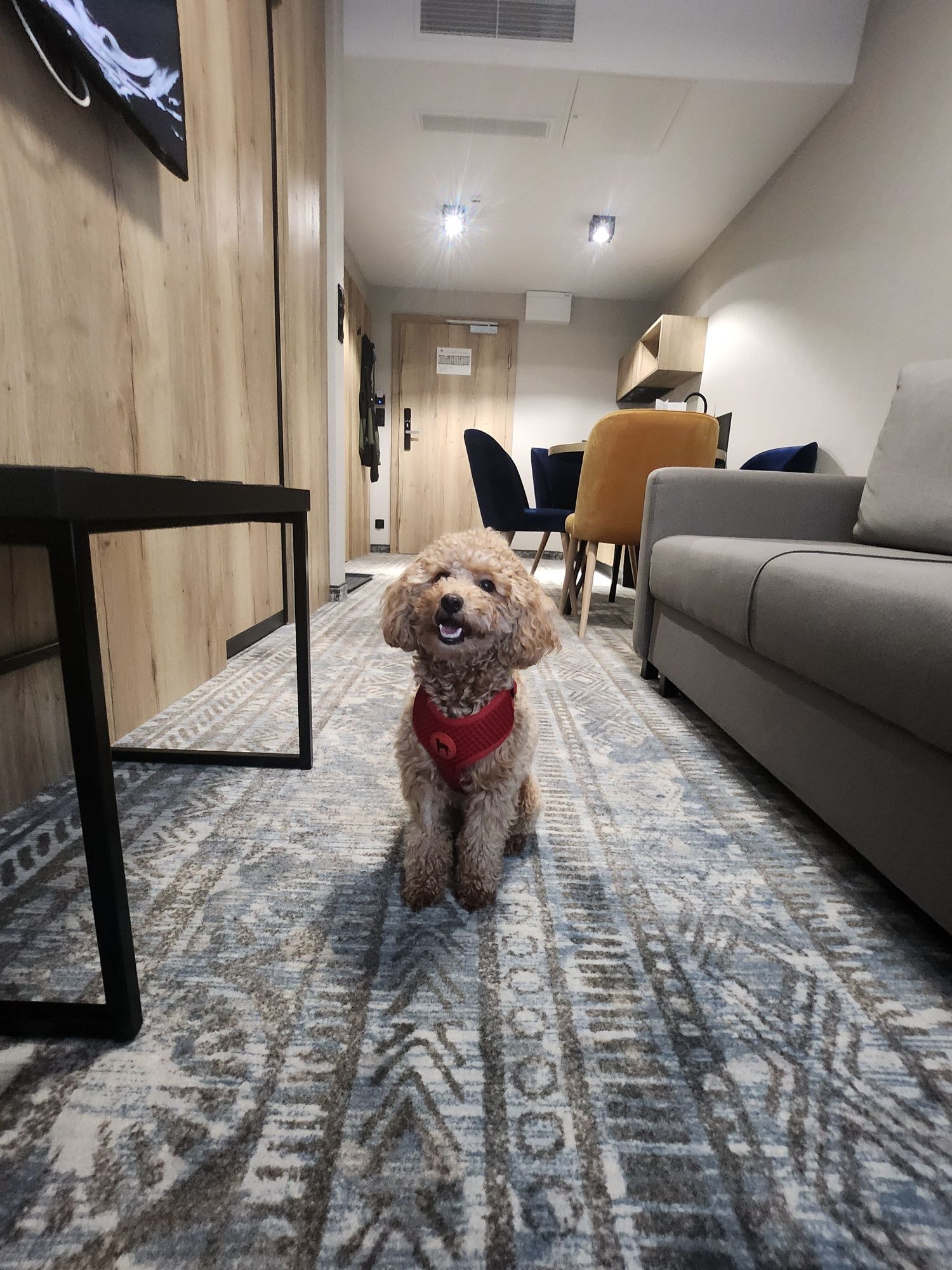 Nowy apartament w Szklarskiej Porębie  z basem i  spa.