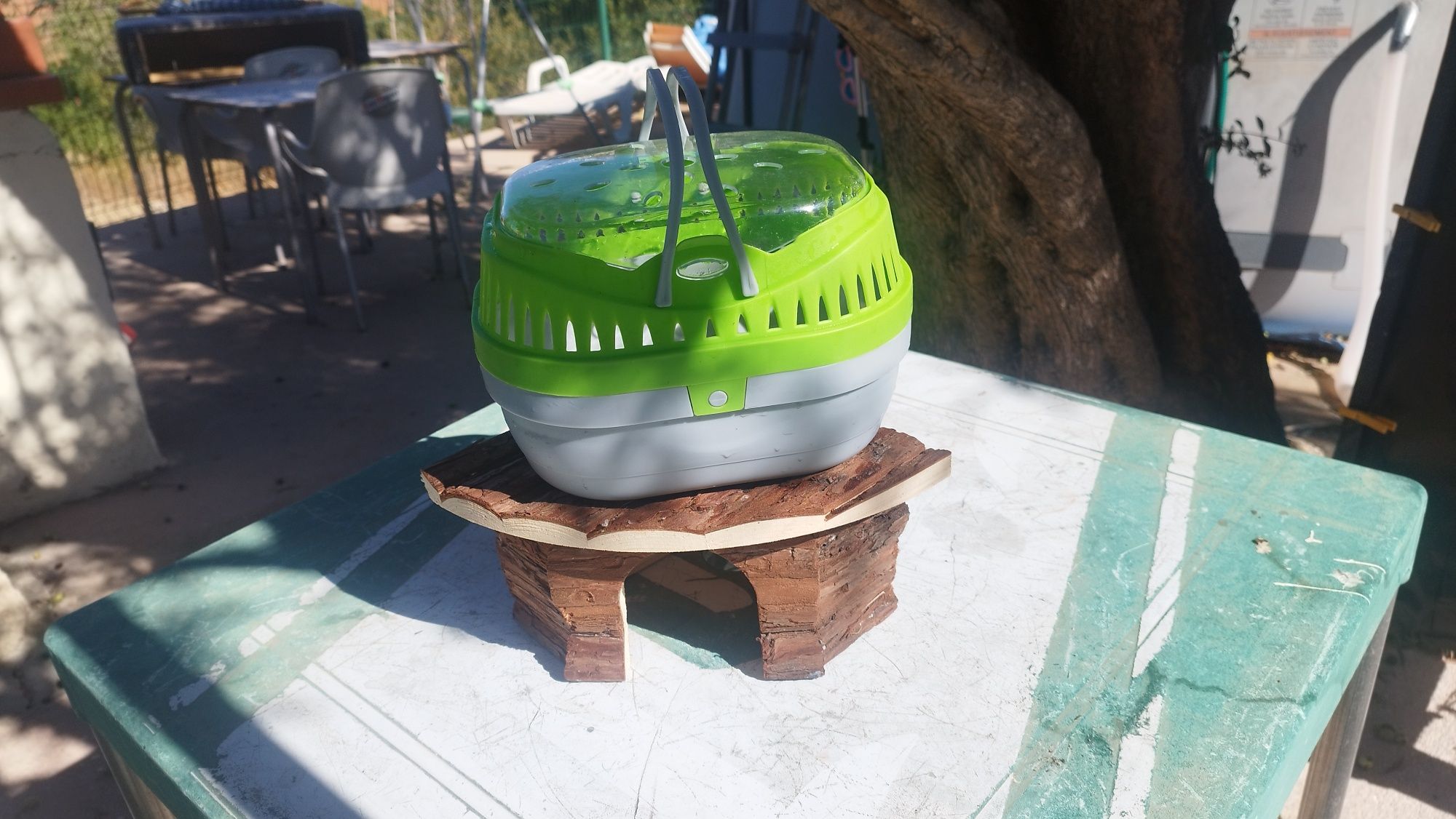 Transportadora e abrigo para roedores