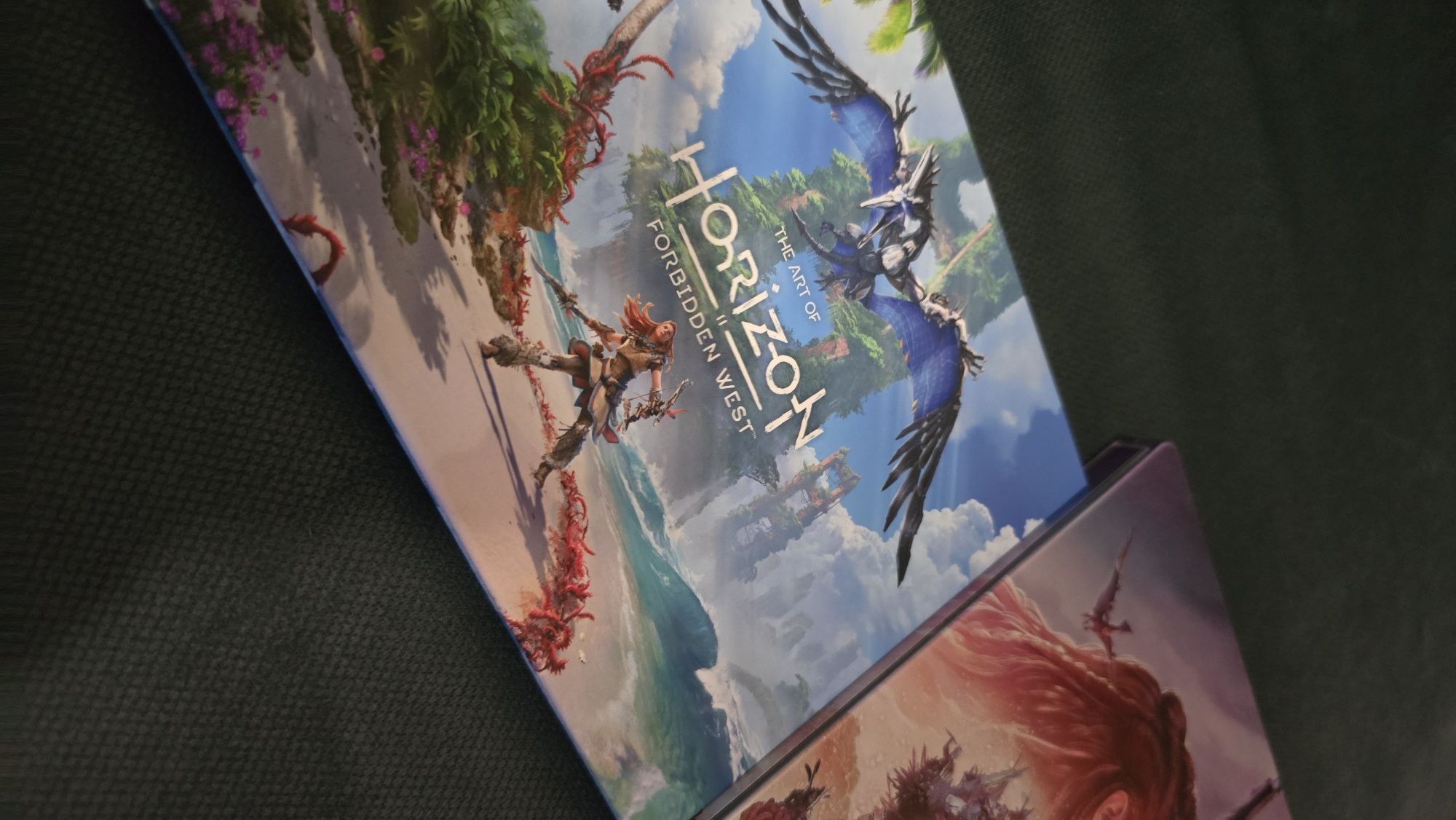 Horizon Forbidden West Special Edition PS5