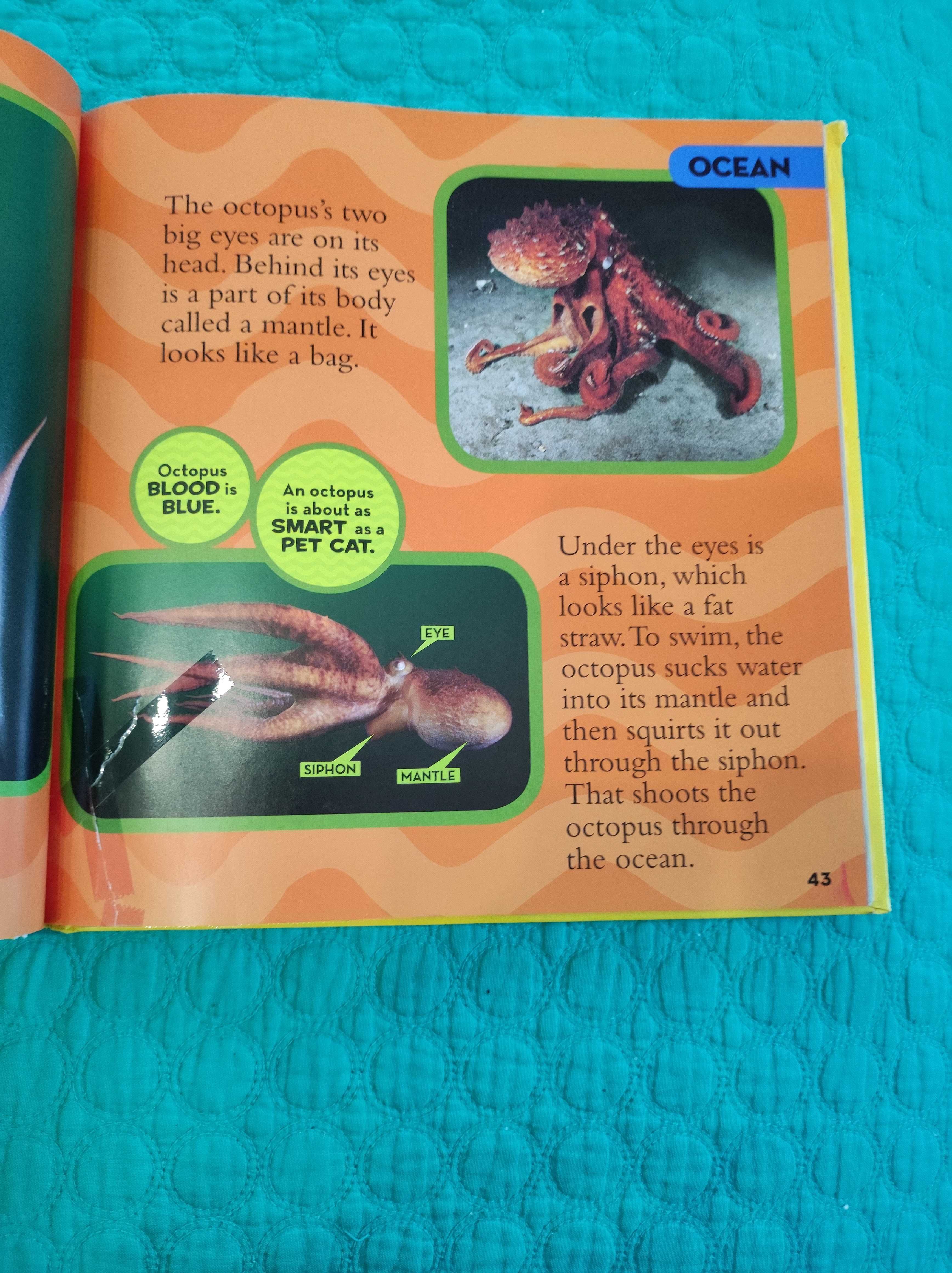 National Geographic Little Kids-First Big Book of Animals portes incl