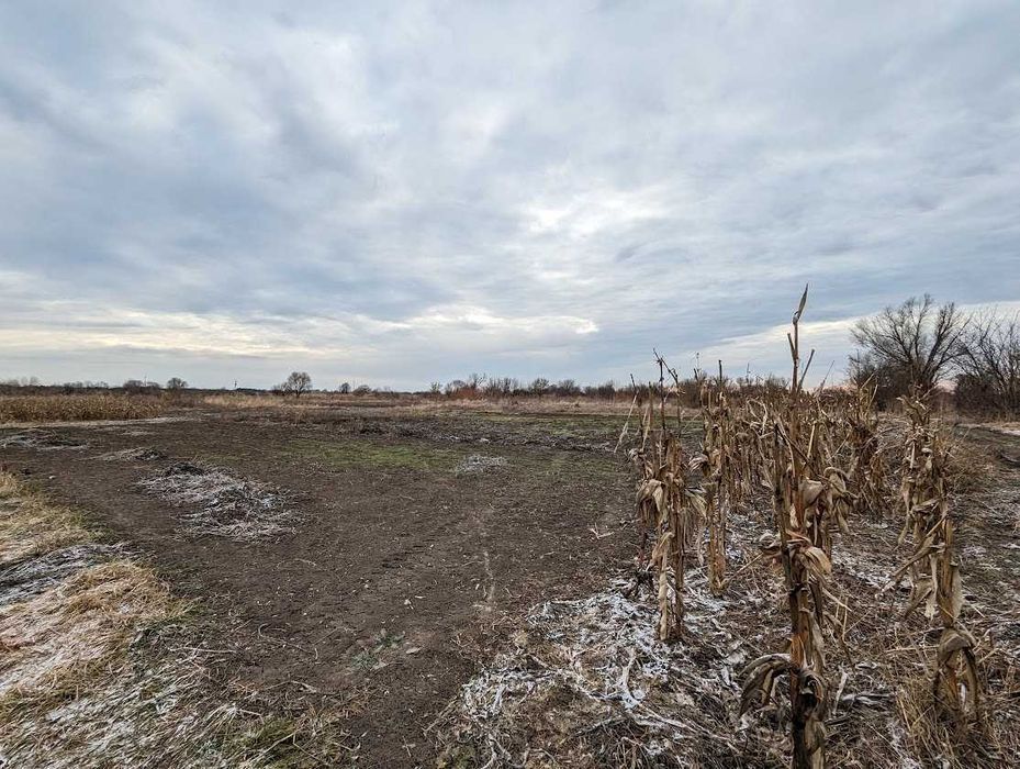 Продамо ділянку в Червоній Слободі 19 соток по вул. Павлова