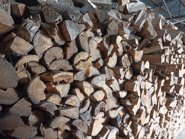 Drewno kominkowe