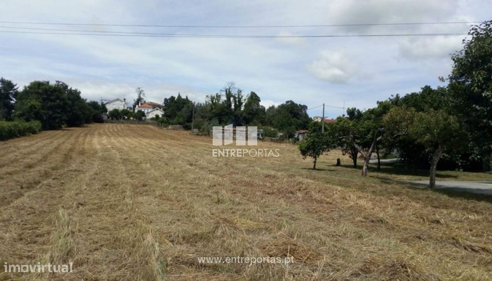 Venda de Terreno para construção, Neves, Vila de Punhe