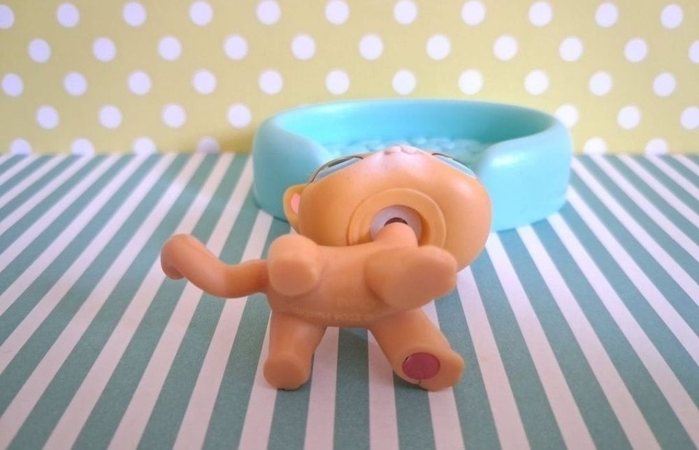 Littlest Pet Shop LPS unikatowy kot Shorthair #71 pop