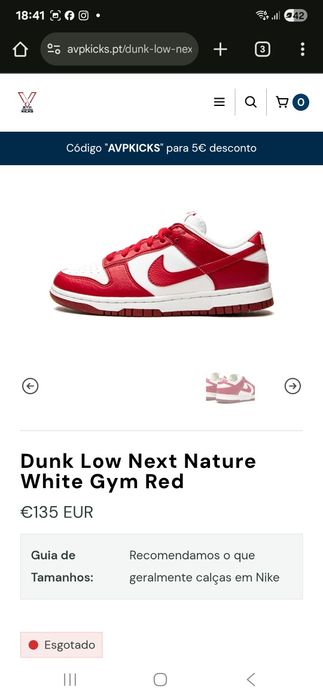 Nike Air Dunk Low Next Nature