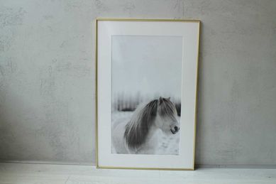 Obraz na ścianę Koń Konia w ramce ramka 60x90 cm