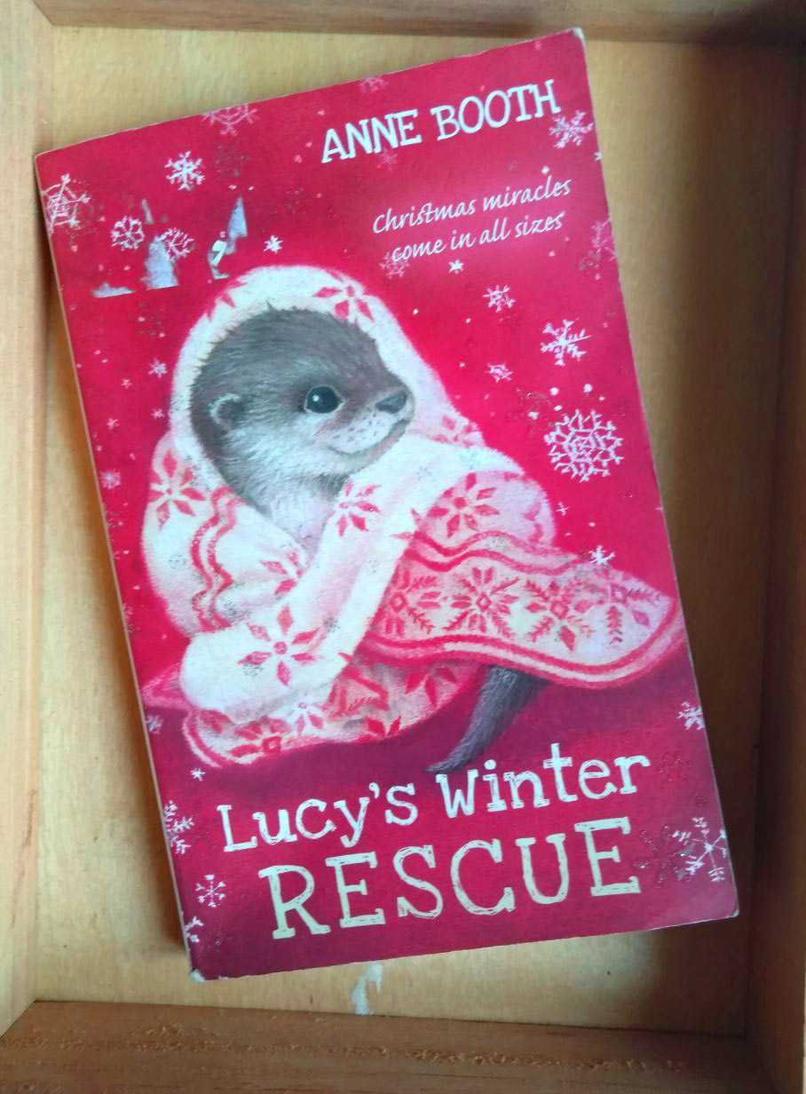 Дитяча книга "Lucy's Winter Rescue" (англ. мова)