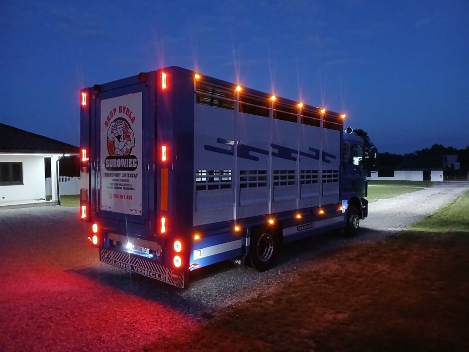 Skup bydła i cieląt SUROWIEC gotówka przelew 24 godz