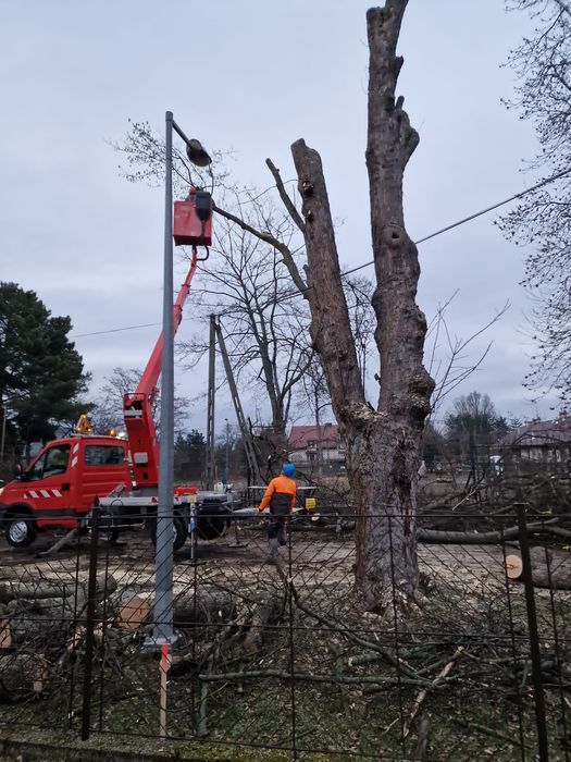Wycinka Przycinka w trudno dostępnych miejscach podnośnik koszowy