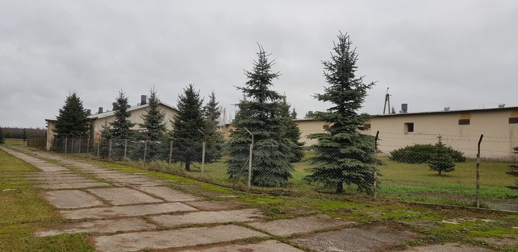 Budynki użytkowe 1385m2