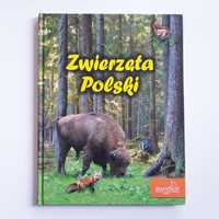 Zwierzęta Polski - ssaki - Elżbieta Zarych