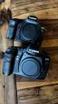 Canon EOS 5d Mark II