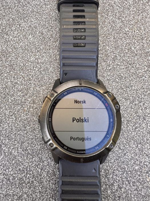 Garmin Fenix 6x pro