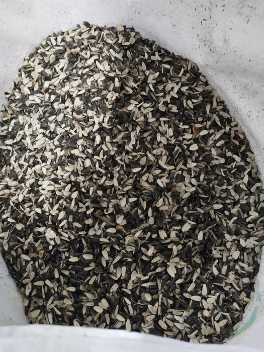 Łuska słonecznika, paszowa dla zwierząt, dla koni, worek 5kg/bigbag