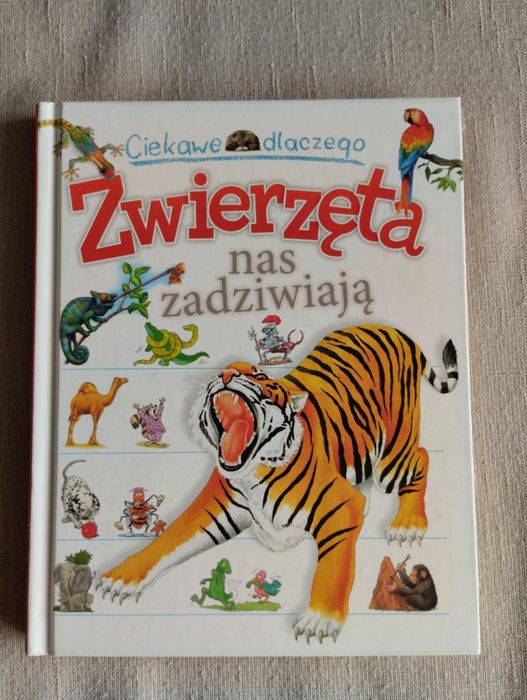 Zwierzęta nas zadziwiają ciekawe dlaczego