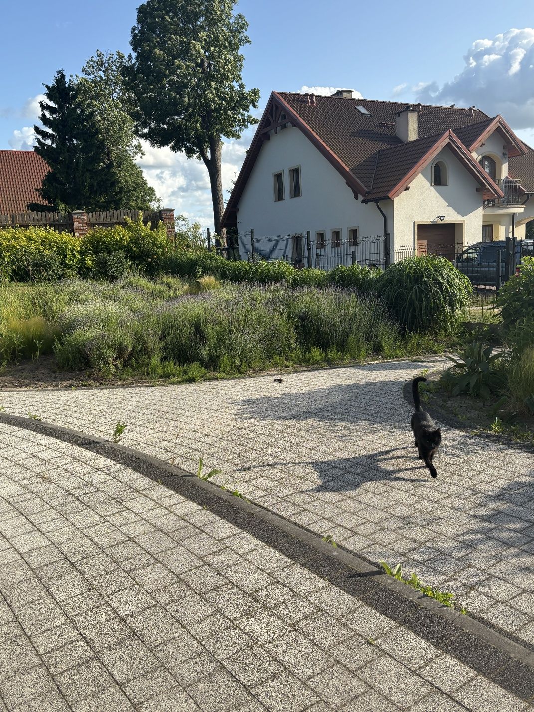Przy spichlerzu pokoje z łazienkami Mikoszewo ul Leśna 2c
