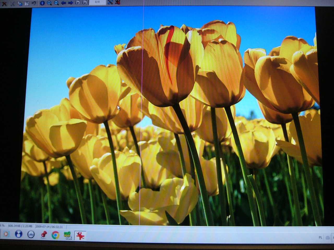 Monitor komputerowy 22 cale Philips