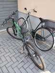 Rower Gazelle Chamonix