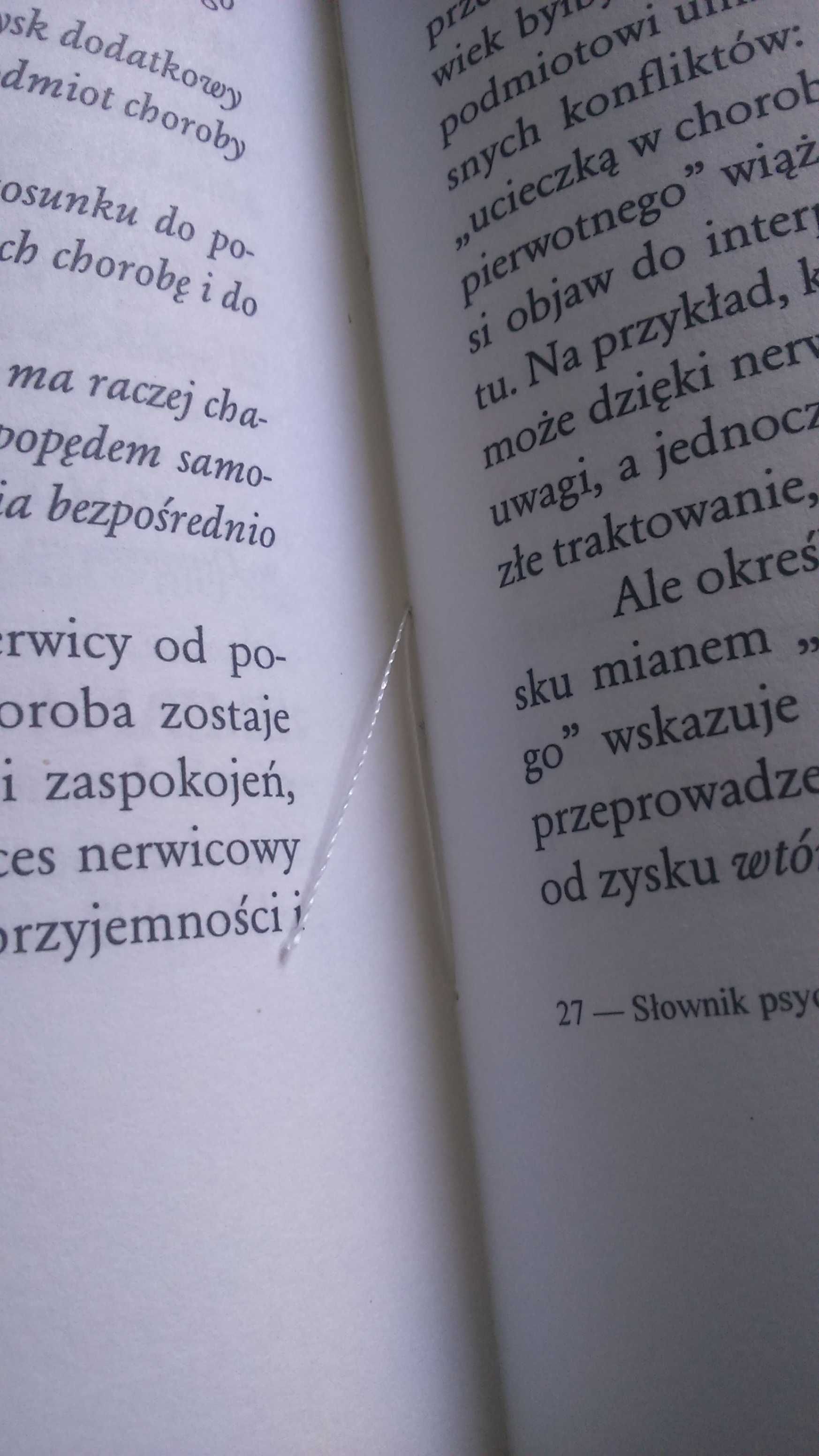 Słownik psychoanalizy / Laplanche Pontalis / Wyd. pierwsze / WSiP 1996