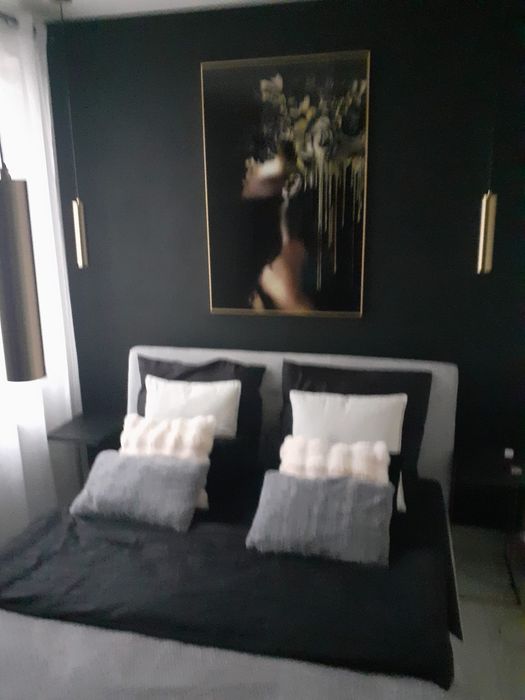 Piekne mieszkanie ns Starym Browarze