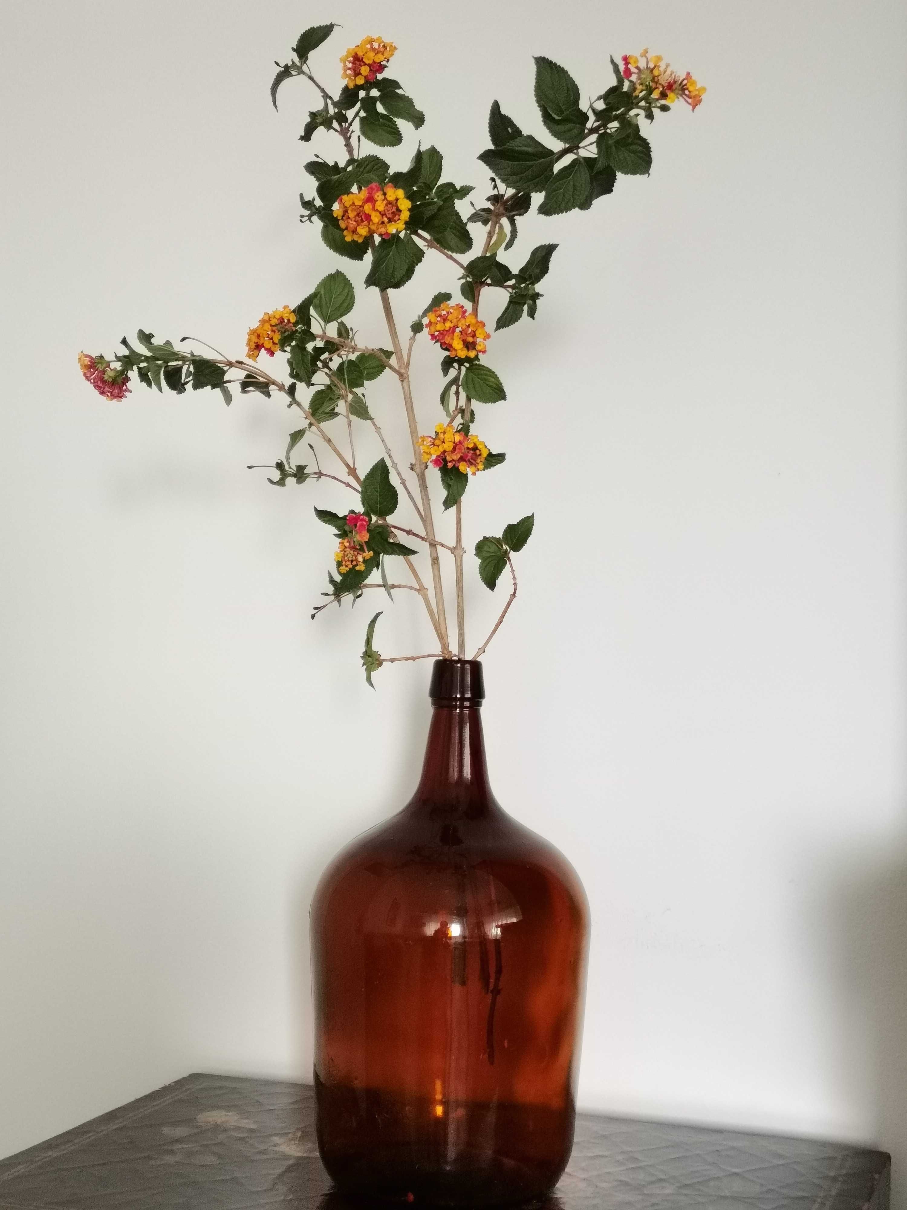Garrafões/Vasos decorativos em vidro
