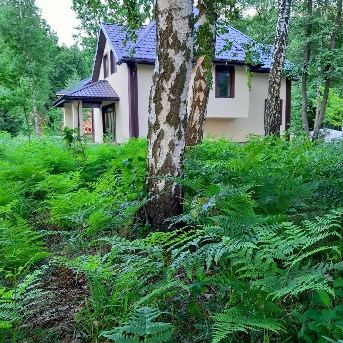 Цегляний дім у тихій,лісовій зоні. 165кв.м,10сот,ГАЗ,17кВт,свердловина