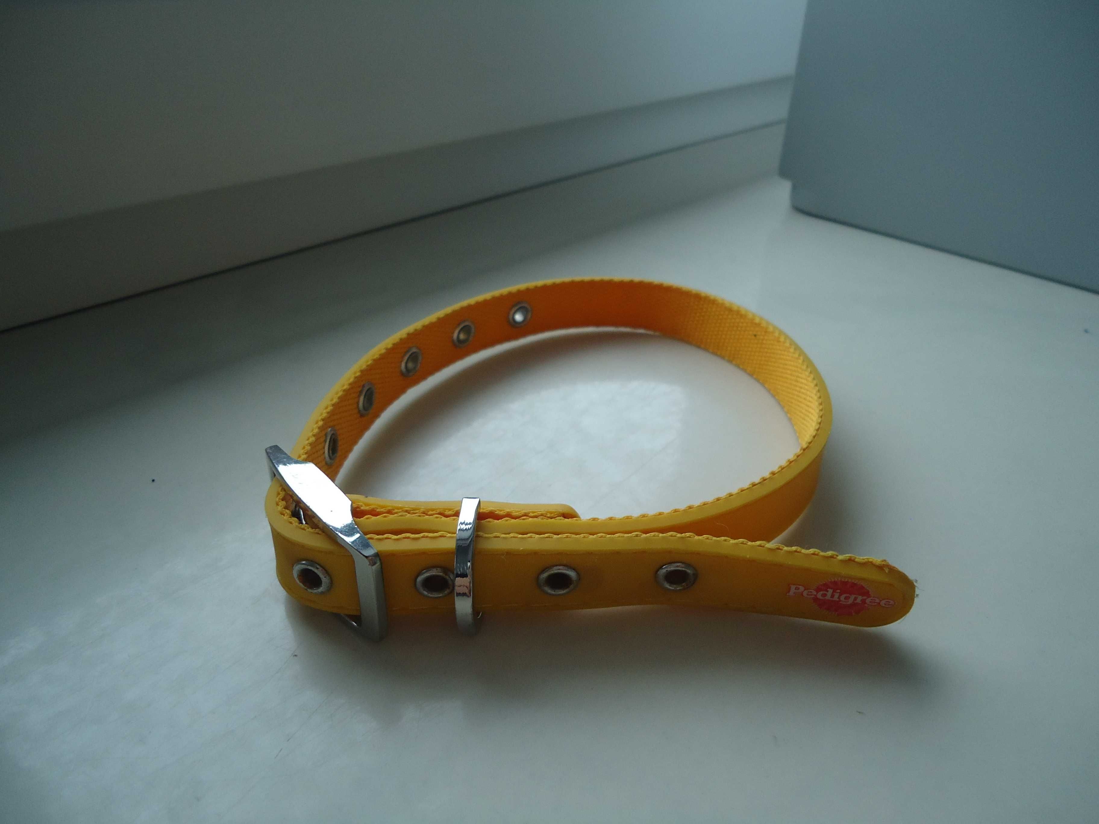 Żółta obroża dla psa 46cm nowa