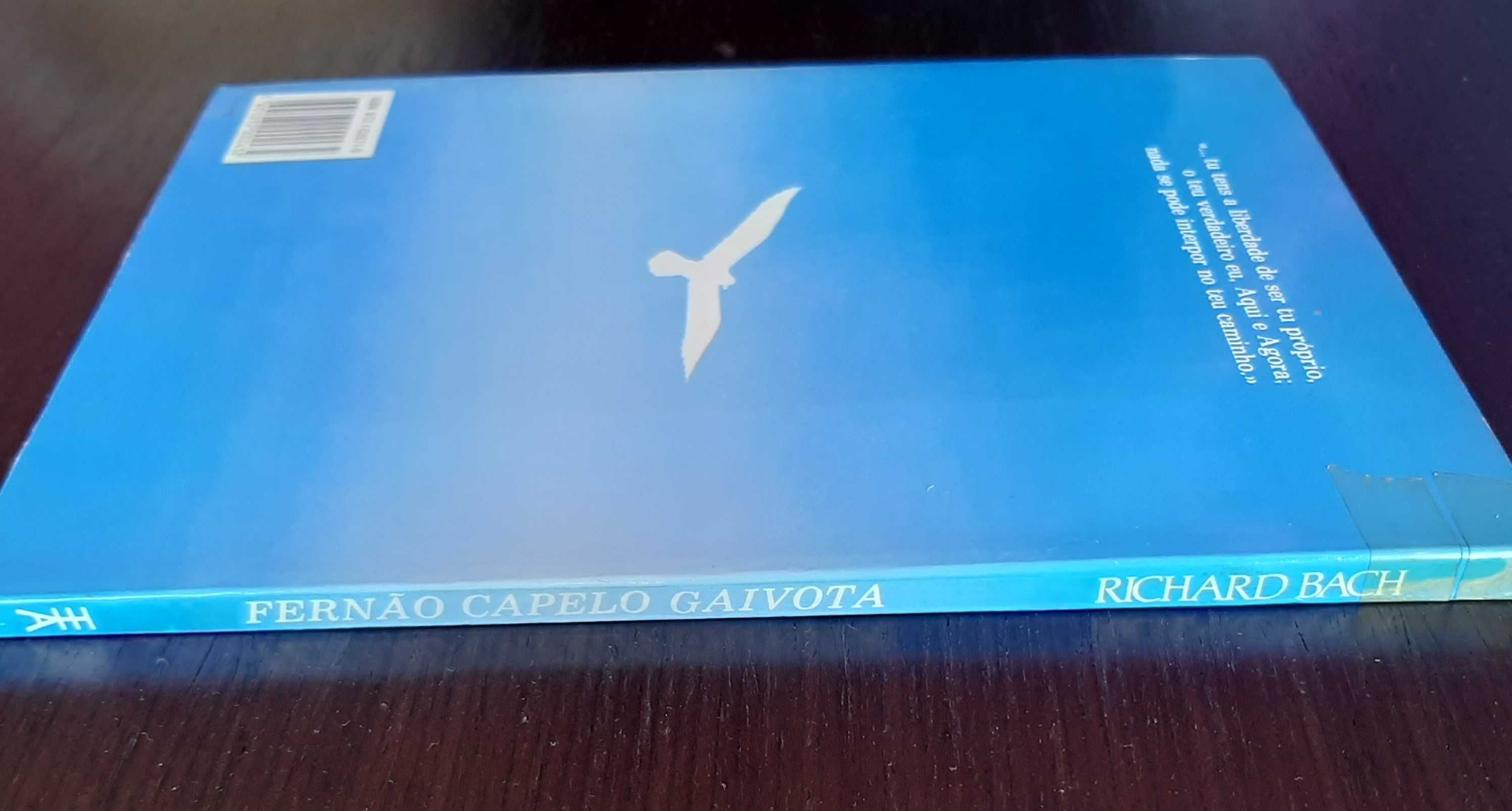 Livro - Fernão Capelo Gaivota - Richard Bach