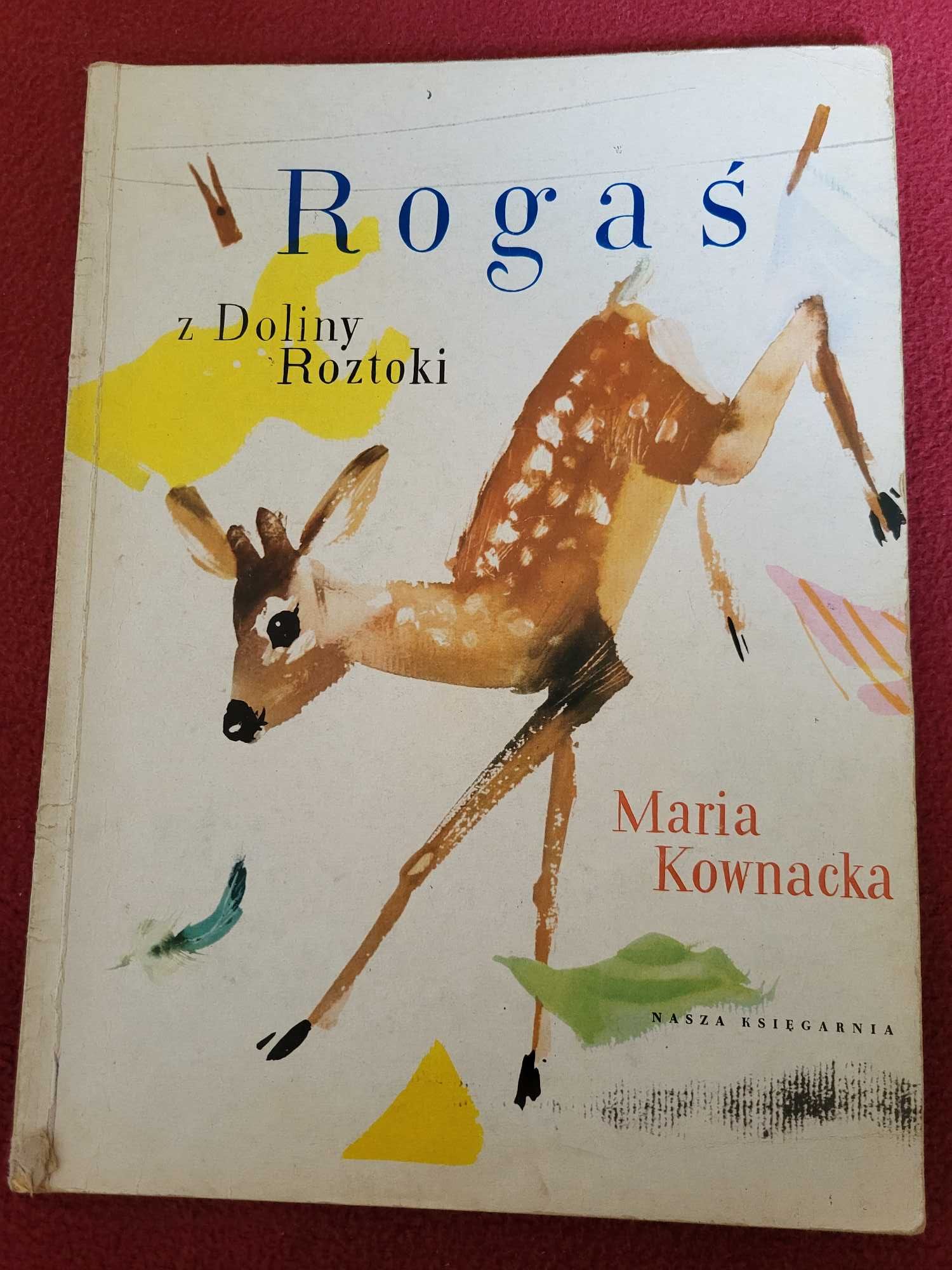 Książka: Rogaś z Doliny Roztoki. Maria Kownacka.