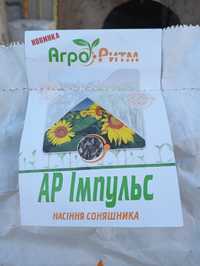 Продам насіння соняшника під євролайтинг