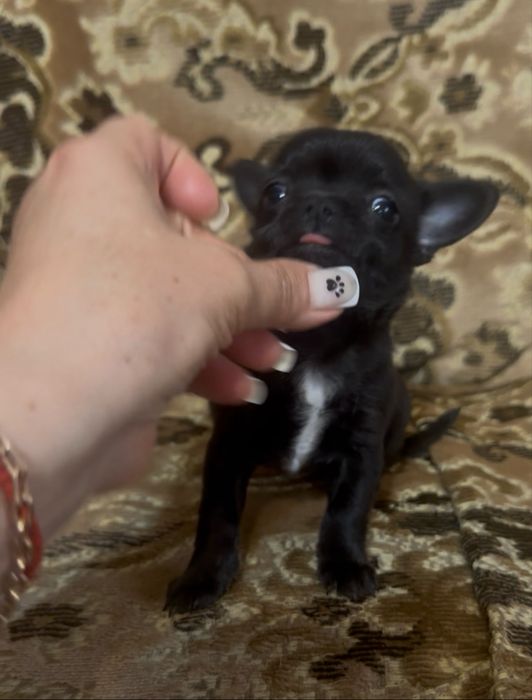 Крихітка на долоньку.Супер міні дівчинка.