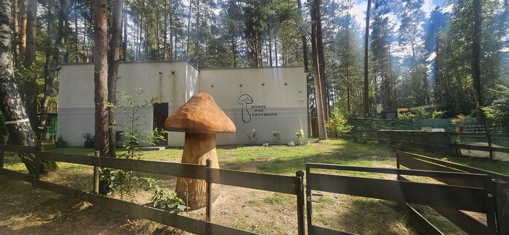 Domek nad jeziorem sauna balia jacuzzi sylwester kawalerski panienski