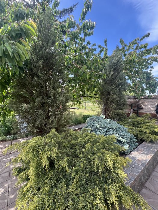 Продам будинок 95 квартал ( Центр міста ) .