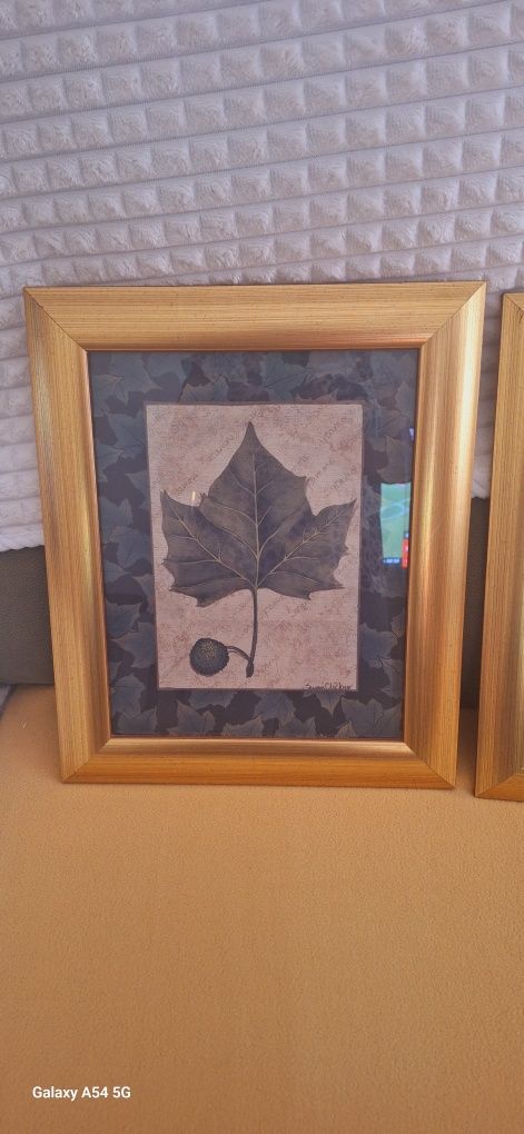 Quadros com moldura  em dourado