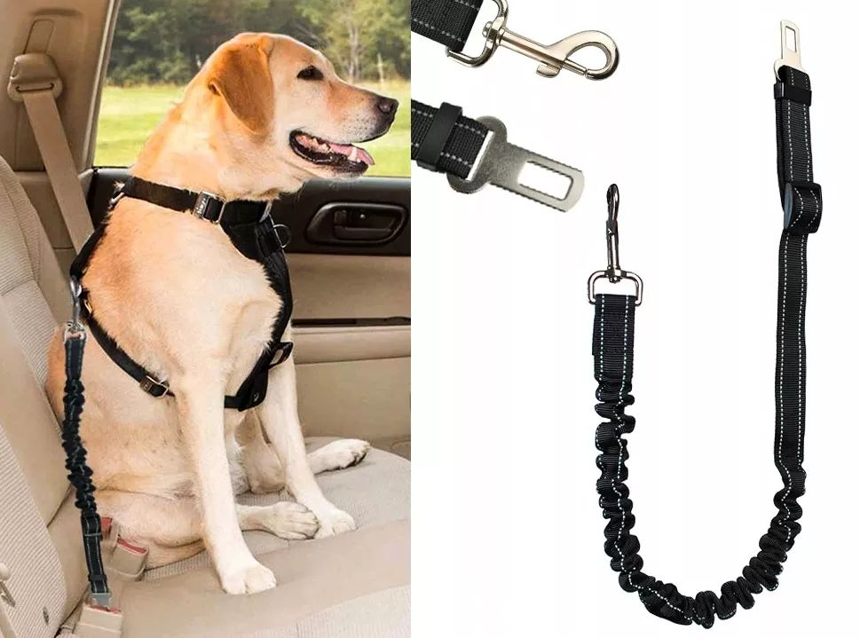 Smycz Do Samochodu Pasy Bezpieczeństwa Dla Psa