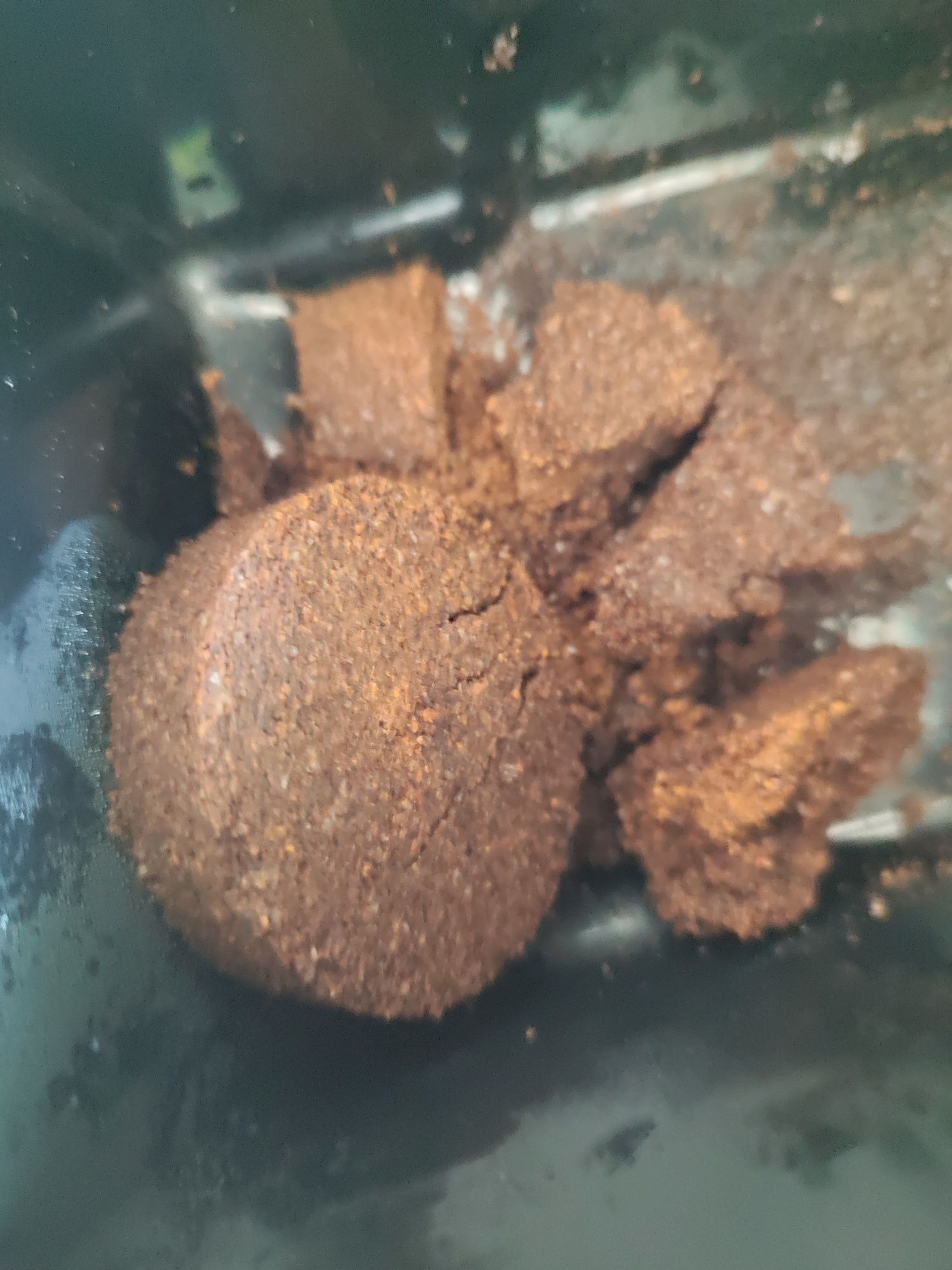 Eksres DeLonghi Autentica Cappuccino Etam29660 z pojemnikiem na mleko