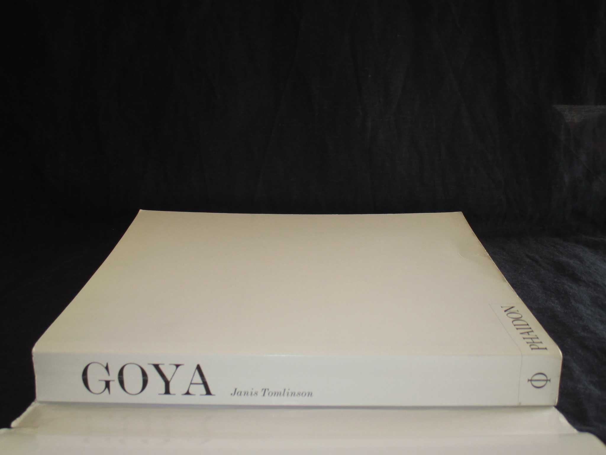 Livro Francisco Goya y Lucientes 1746 a 1828 Janis Tomlinson