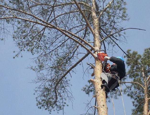 Расчистка участков, СПИЛ ДЕРЕВЬЕВ, покос травы Дробилка ВывозПо Днепру