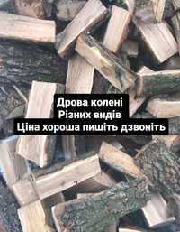 Дрова колені  КИЇВ І обл. 600 грн