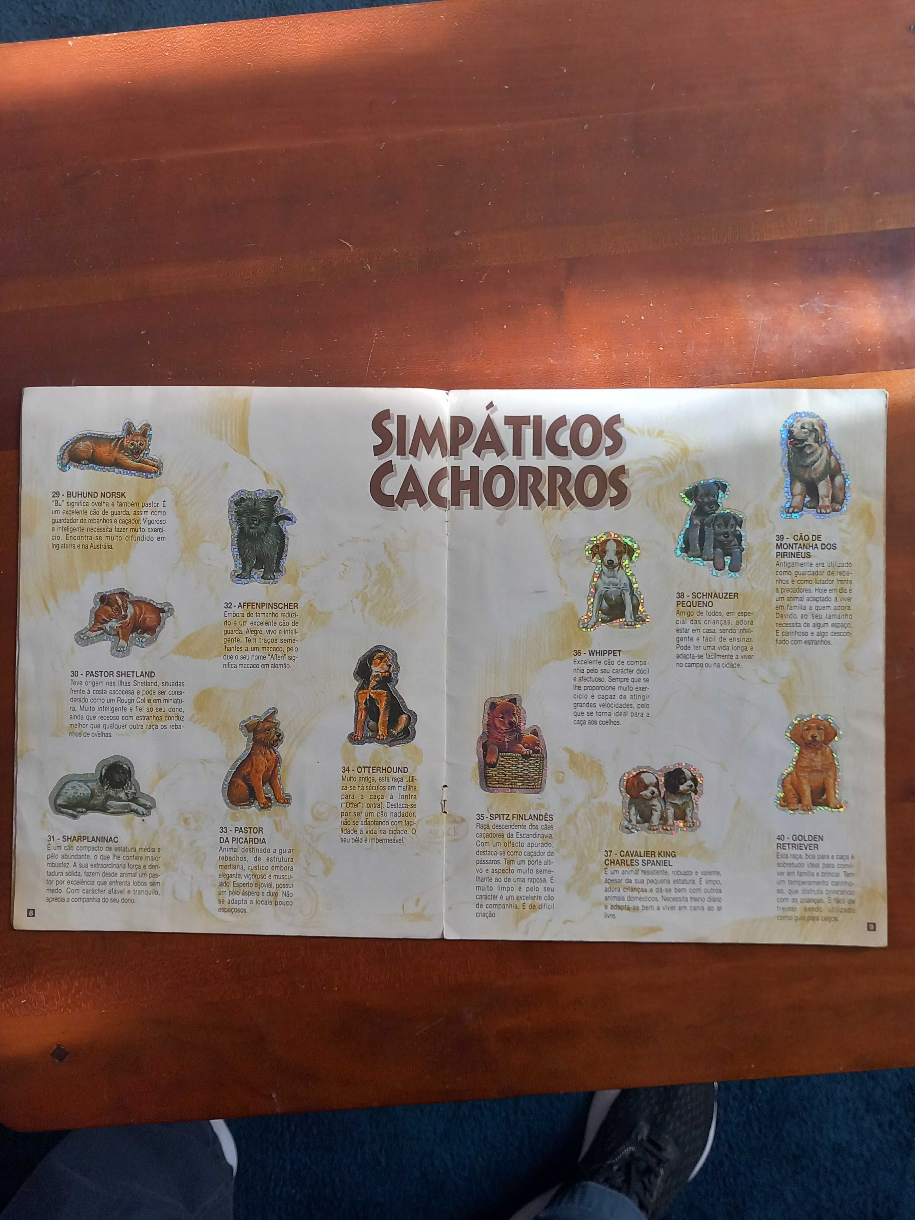 Caderneta BOLLYCAO - O Teu Melhor Amigo II Completa