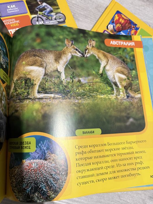 Моя первая большая книга . ( набор)