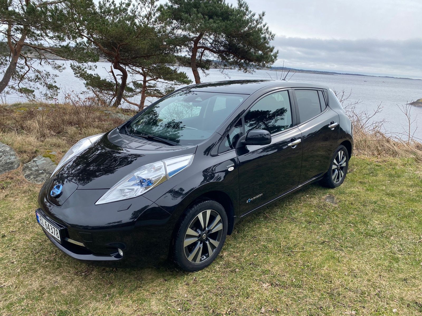 Nissan Leaf Nordic 2015р.11/12поділок з Норвегії