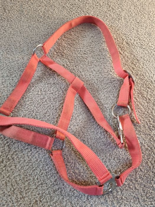 Kantar full różowy