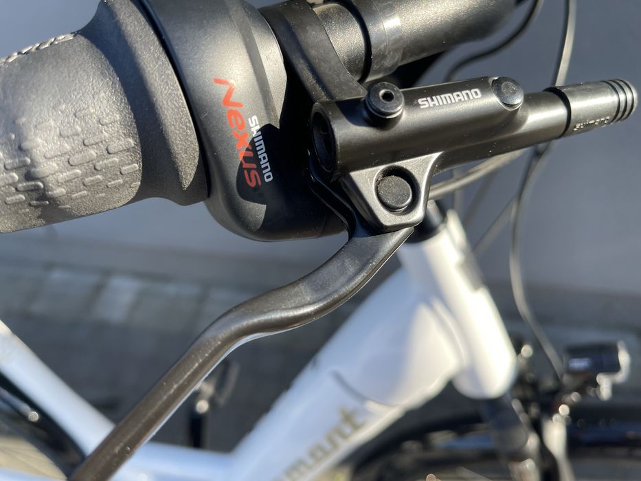 Rower elektryczny Diamant Beryll Deluxe + City