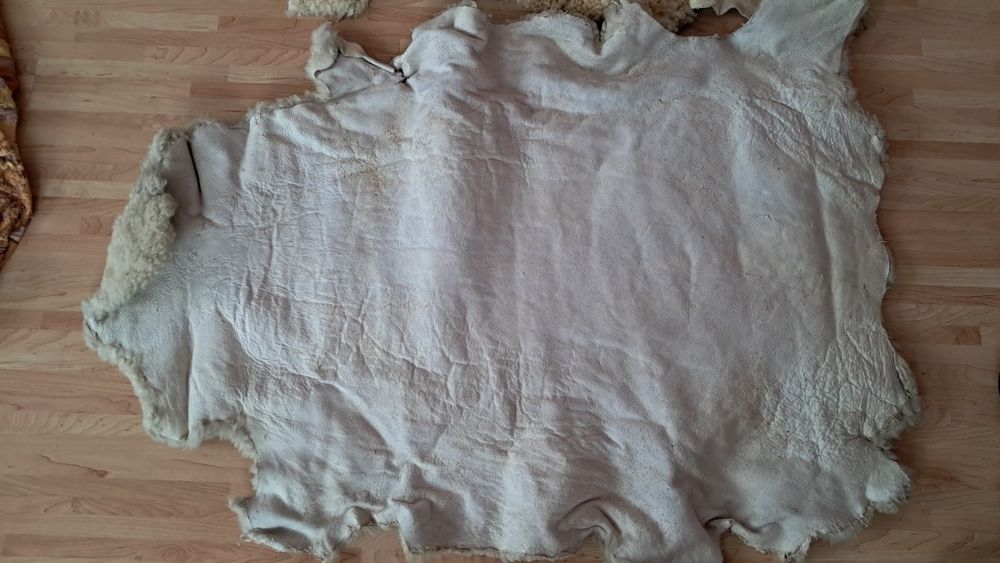 Skóry Owcze wyprawione na surowo