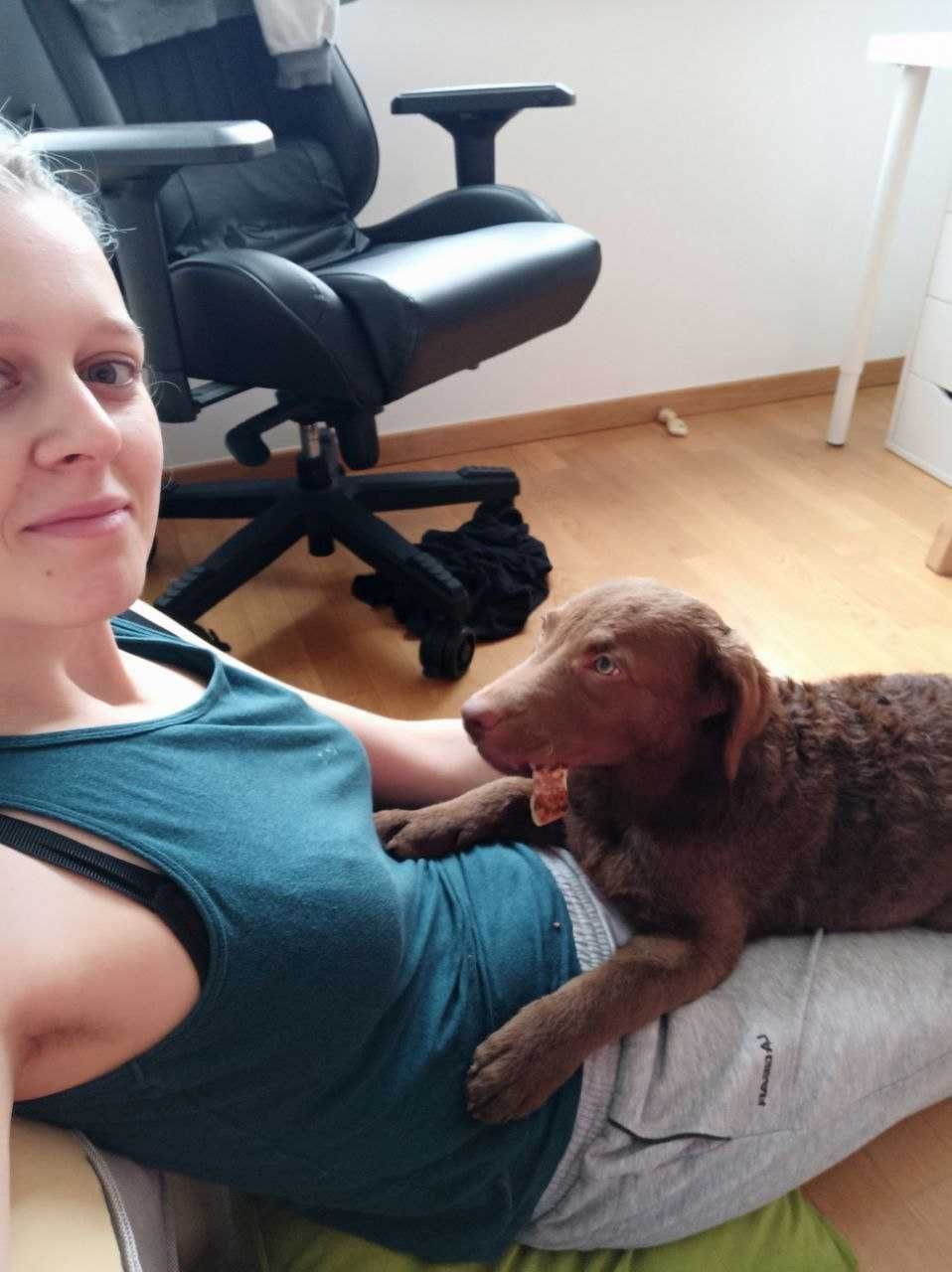 Wyprowadzanie Psów, opieka nad zwierzętami (koty i psy), petsitter