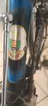 Bicicleta Pasteleira longines