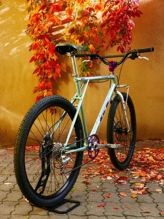 GT Palomar Chris King Garbaruk Retro Brooks